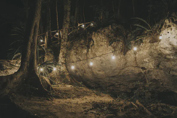 Camino a través de una selva oscura con luces de cadena, sugiriendo un viaje hacia un destino mágico oculto